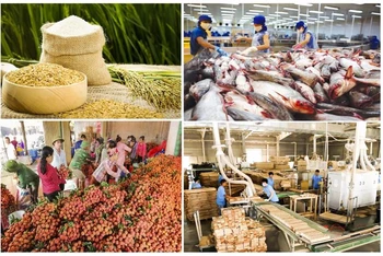 11 tháng đầu năm 2021, tổng kim ngạch xuất, nhập khẩu hàng nông lâm thủy sản ước đạt gần 82,67 tỷ USD.