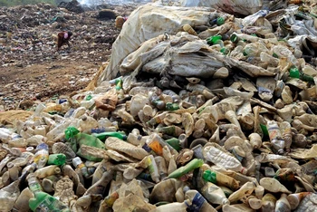 Thu gom chai nhựa để tái chế tại bãi rác nằm ở ngoại ô Agartala, thủ phủ của bang Tripura, đông bắc Ấn Độ. Ảnh: Reuters.