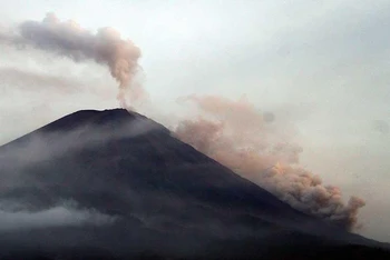 Cột khói và tro bụi từ đợt phun trào mới nhất của núi lửa Semeru trên đảo Java, Indonesia. (Ảnh: Antara)