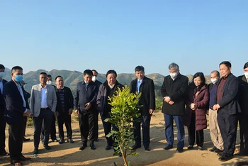 Bộ trưởng Lê Minh Hoan cùng thành viên đoàn công tác thăm vườn mắc-ca tại bản Huổi Tao B, xã Pú Nhi, huyện Điện Biên Đông.