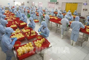 Các sản phẩm rau quả chế biến của Việt Nam đang dần đáp ứng được các yêu cầu của người tiêu dùng Hoa Kỳ. (Ảnh TTXVN)