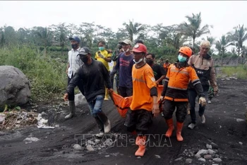 Lực lượng cứu hộ chuyển nạn nhân tại khu vực chịu ảnh hưởng của vụ núi lửa Semeru phun trào ở Lumajang, Đông Java, Indonesia ngày 5/12/2021. (Ảnh: THX/TTXVN)