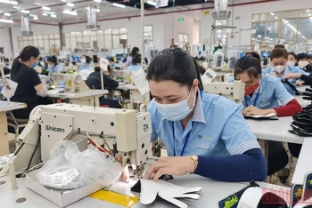 Nghề may công nghiệp đang được nhiều lao động nông thôn ở Nghệ An lựa chọn. (Ảnh: THÀNH CHÂU)