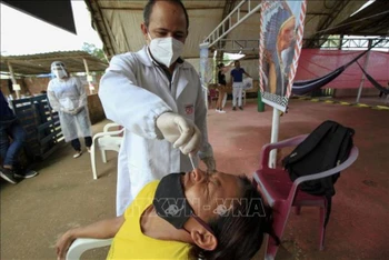 Nhân viên y tế lấy mẫu xét nghiệm Covid-19 cho người dân tại Manaus, bang Amazonas, Brazil, ngày 22/1/2021. (Ảnh minh họa: AFP/TTXVN)