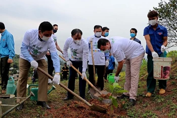Chủ tịch UBND tỉnh Hòa Bình Bùi Văn Khánh (giữa) tham gia trồng cây xanh sau lễ trao tặng.
