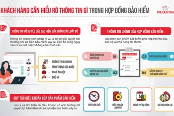 Thông tin khách hàng cần đọc và hiểu rõ trong hợp đồng bảo hiểm. 