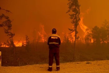 Một đám cháy rừng ở Siberia. (Nguồn: TTXVN/AP)