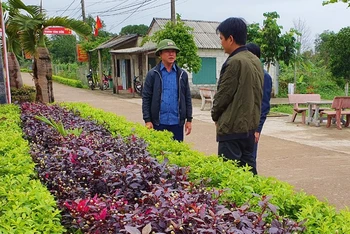 Những con đường liên thôn ở xã Xuân Thủy, huyện Lệ Thủy (Quảng Bình) được phủ thảm xanh và hoa.