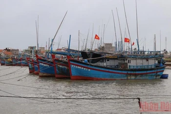 Tàu thuyền của ngư dân thành phố Tuy Hoà, Phú Yên đã được kêu gọi, hướng dẫn neo đậu an toàn để tránh bão ven sông Chùa.