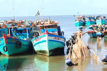 Tàu khai thác neo đậu an toàn tại một khu vực ven đê biển biển Tây, khu vực thuộc huyện Trần Văn Thời, tỉnh Cà Mau.