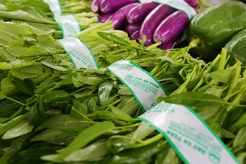 Sản phẩm của chương trình “Xây dựng chuỗi giá trị rau bền vững cùng nông hộ nhỏ tại Việt Nam” (Ảnh: Rikolto Việt Nam). 