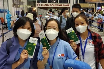 Các ứng viên điều dưỡng, hộ lý Việt Nam lên đường sang Nhật Bản làm việc. (Ảnh minh họa: Vietnamplus)