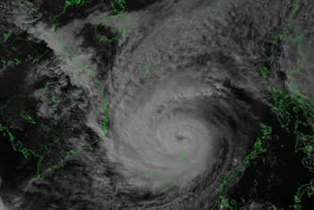 Vị trí tâm bão (lúc 15 giờ ngày 18/12): Khoảng 11.3oN; 114.3oE, cách Bình Định khoảng 615km, cách Khánh Hòa khoảng 580km về phía Đông Nam.