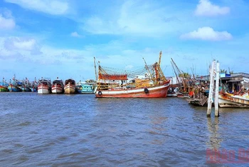 Tàu cá neo đậu tránh bão ở miền biển Sông Đốc, huyện Trần Văn Thời, tỉnh Cà Mau. 