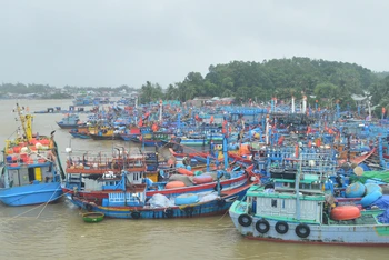 Hàng nghìn tàu cá Quảng Ngãi đã vào bờ tránh trú bão số 9.