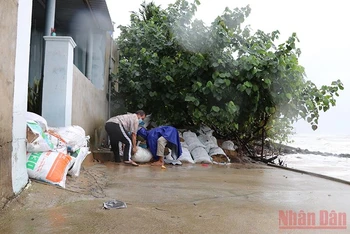 Người dân thôn Mỹ Quang Nam, xã An Chấn, huyện Tuy An, tỉnh Phú Yên dùng bao cát đắp tạm bờ bao chống chọi với xâm thực của sóng biển đang ngày một mạnh lên do ảnh hưởng của bão số 9.