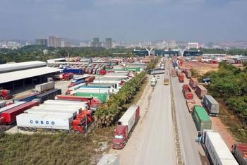 Xe container xếp hàng dài đợi thông quan tại cửa khẩu.