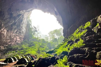 Cửa hang Pygmy, hang động lớn thứ tư thế giới, nằm trong vùng lõi VQG Phong Nha-Kẻ Bàng. (Ảnh: Mỹ Hạnh) 