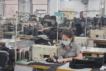 Công nhân làm việc tại Công ty TNHH Công nghiệp Đức Bổn, khu chế xuất Tân Thuận, quận 7, TP Hồ Chí Minh.