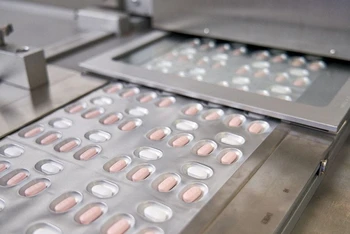 Sản xuất thuốc điều trị Covid-19 của Pfizer tại Ascoli, Italia. (Ảnh: Reuters)