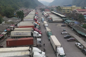 Các xe chở hàng nông sản tồn ở cửa khẩu Tân Thanh, huyện Văn Lãng (Lạng Sơn).