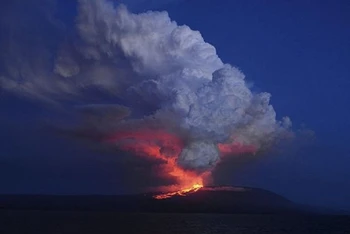 Núi lửa Wolf, Ecuador phun trào sau gần 7 năm “ngủ yên”.