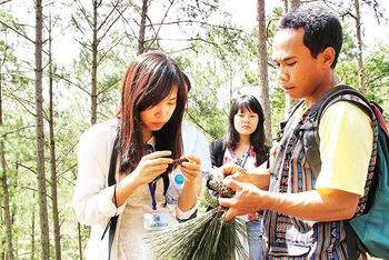Một thanh niên dân tộc Cơ Ho tại huyện Lạc Dương (Lâm Ðồng) làm hướng dẫn viên du lịch trải nghiệm rừng. 