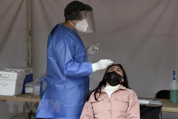 Nhân viên y tế lấy mẫu xét nghiệm Covid-19 cho người dân tại Mexico City, Mexico. (Ảnh: AFP/TTXVN)