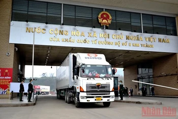 Thông quan xuất khẩu thanh long qua Cửa khẩu Kim Thành (Lào Cai).