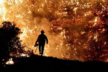 Một nhân viên cứu hỏa đối diện với đám cháy Caldor ở bang California, Mỹ hồi tháng 8/2021. (Ảnh: Reuters)
