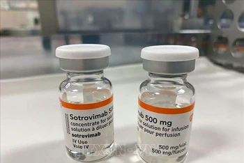 Thuốc Sotrovimab điều trị bệnh nhân Covid-19 do Công ty dược GlaxoSmithKline phối hợp Công ty công nghệ sinh học Vir Biotechnology của Mỹ nghiên cứu và phát triển. (Ảnh: The National/TTXVN)