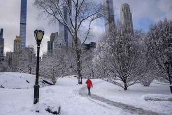 Tuyết phủ trắng tại New York, Mỹ, ngày 7/1. (Ảnh minh họa: AFP/TTXVN)