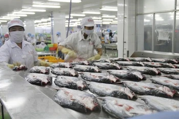 Chế biến cá da trơn xuất khẩu ở Công ty cổ phần Gò Đàng, Khu Công nghiệp Mỹ Tho, Tiền Giang. (Ảnh: TTXVN)