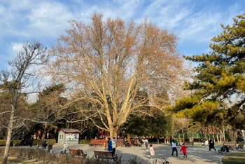 Trẻ em vui chơi ở Công viên Nhật Đàn, Bắc Kinh. (Ảnh: Phương Thảo)