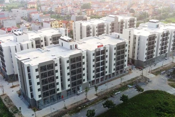 Nhà ở xã hội Thanh Lâm-Đại Thịnh 2 do Tổng công ty Đầu tư phát triển nhà và đô thị (HUD) đầu tư, xây dựng.