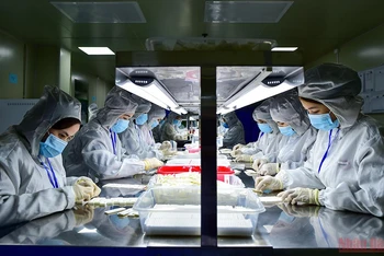 Dây chuyền sản xuất kit test kháng nguyên virus SARS-CoV-2 của Công ty TNHH Medicon. (Ảnh: THÀNH ĐẠT) 