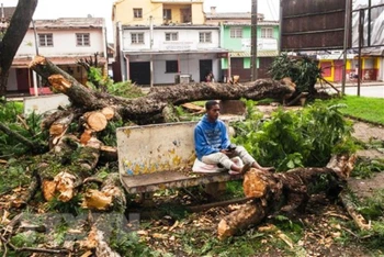 Cây cối bị gió quật đổ sau khi bão Batsirai đổ bộ vào thành phố Antsirabe, Madagascar ngày 6/2/2022. (Ảnh: AFP/TTXVN)