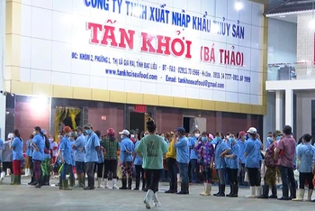 Công ty TNHH Xuất nhập khẩu thủy sản Tấn Khởi, thị xã Giá Rai, Bạc Liêu giải quyết công ăn việc làm ổn định cho hàng nghìn lao động nghèo địa phương.