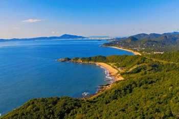 Bờ biển Balneário Camboriú ở Brazil là một thí dụ về khu vực ven biển đang chịu áp lực ngày càng cao. Ảnh: Leonardo Felippi