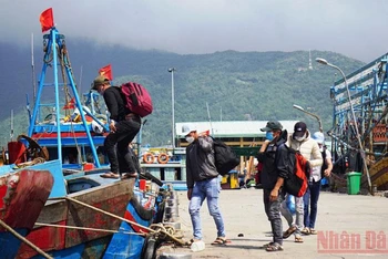 Hàng trăm ngư dân miền trung đã trở lại Đà Nẵng, tất bật chuẩn bị cho chuyến biển đầu năm.