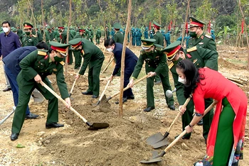 Sau lễ phát động lực lượng vũ trang quân khu 3 đã trồng được hơn 300 cây xanh ở Ninh Bình. 