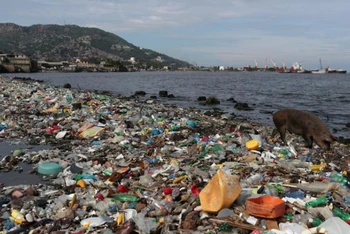 Mỗi năm có khoảng 8 triệu tấn rác nhựa thải ra các đại dương, đe dọa sự sống của các sinh vật biển và các cộng đồng dựa vào biển để kiếm sống. (Ảnh: Reuters)