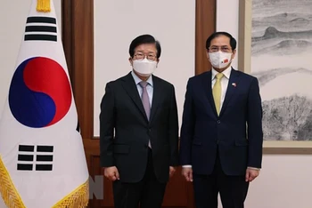 Bộ trưởng Ngoại giao Bùi Thanh Sơn và Chủ tịch Quốc hội Hàn Quốc Park Byeong-seug. (Ảnh: TTXVN)