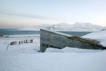 Được xây dựng sâu trong lòng núi ở vùng Bắc Cực, kho hạt giống toàn cầu Svalbard có một vai trò quan trọng, cung cấp hạt giống cho các nhà khoa học và nông dân trong trường hợp chiến tranh, dịch bệnh hay thiên tai phá hủy mùa màng. Ảnh: REUTERS