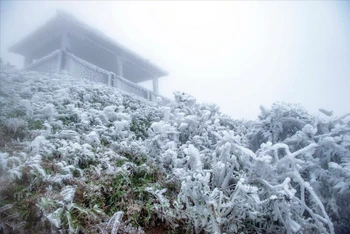 Từ ngày 20-22/2, Bắc Bộ rét hại, nhiệt độ thấp nhất ở vùng núi 3-6 độ C, vùng núi cao có nơi 0 độ C, khả năng cao xảy ra băng giá và mưa tuyết. (Ảnh minh họa)