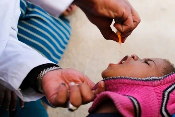 Trẻ em uống vaccine phòng bại liệt trong chiến dịch phòng bệnh ở Sanaa, Yemen, ngày 20/2/2017. (Ảnh minh họa: REUTERS)
