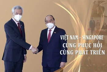 Việt Nam-Singapore: Cùng phục hồi, cùng phát triển