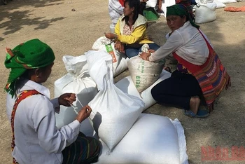 Người dân Bắc Lý, huyện miền núi cao Kỳ Sơn nhận gạo cứu trợ.