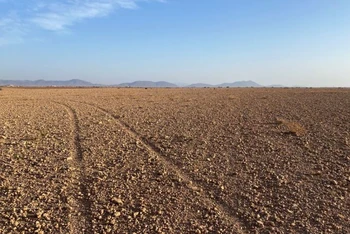 Hình ảnh 1 cánh đồng khô cạn ở Marrakech, Maroc, ngày 12/2/2022. (Ảnh: Reuters)