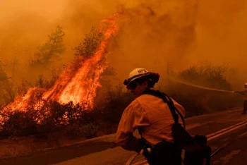 Lực lượng cứu hỏa đang nỗ lực dập tắt đám cháy Windy ở Vườn quốc gia Sequoia, bang California, Mỹ hồi tháng 9/2021. (Ảnh: Getty Images)